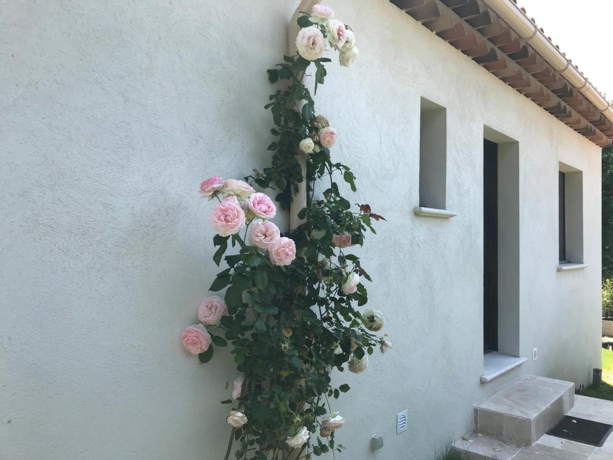 Villa L'Art De Fer Saint-Paul-de-Vence Esterno foto